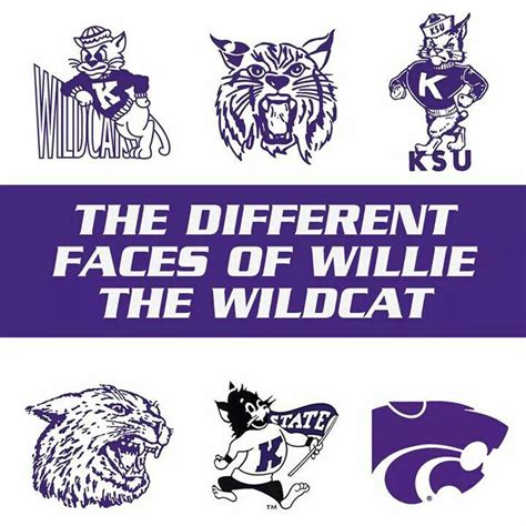 The Role of Willke the Wildcat in Building a Sense of Community